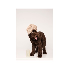 Fur Bebe Pet Shampoo