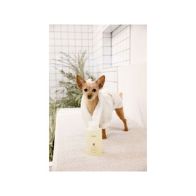 Fur Bebe Pet Shampoo
