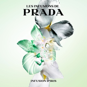 Infusion d'Iris Eau de Parfum