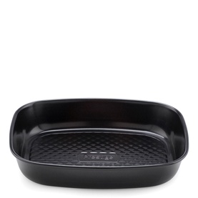 Inspire Small Roaster