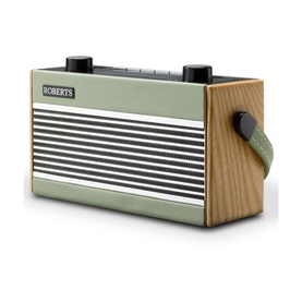 Rambler BT Portable Radio With Bluetooth