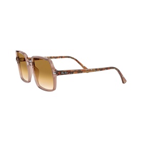 Square II Sunglasses RB1973 53