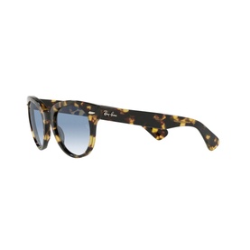 RB2199 Square Sunglasses