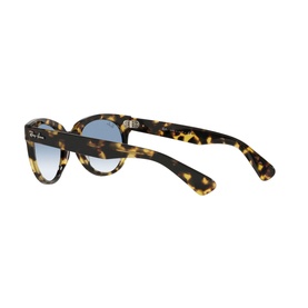 RB2199 Square Sunglasses