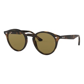 Havana Phantos Sunglasses  Brown