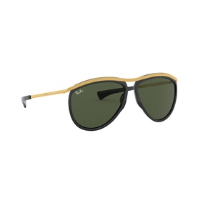 0RB2219 Pilot Sunglasses