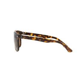 Ray-Ban Havana Square Sunglasses RB4147 in brown tortoiseshell acetate, side profile view showing temple arm detail