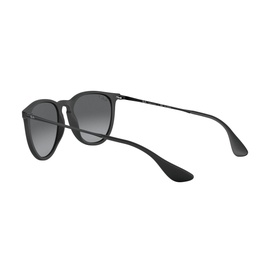 Erika Sunglasses RB4171 54
