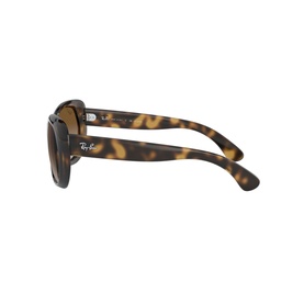 Square Sunglasses RB4325 59
