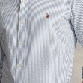 Custom Fit Stripe Oxford Shirt