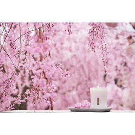 The Ritual of Sakura Scented Candle 290 g