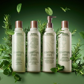 Rosemary Mint Hand and Body Wash 250ml