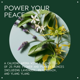 Shampure Hand & Body Cleanser