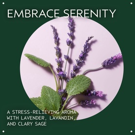 Stress-Fix Body Lotion