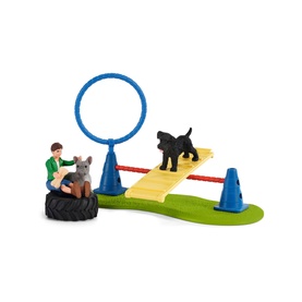Puppy Agility Training