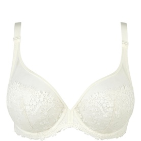 Wish Full Cup Bra