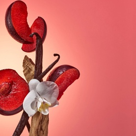 Bom Dia Bright Body Cream