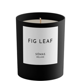Fig Leaf Candle