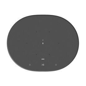 Move Wireless Smart Speaker