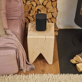 One SL Speaker