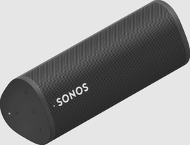 Roam Portable Waterproof Smart Speaker