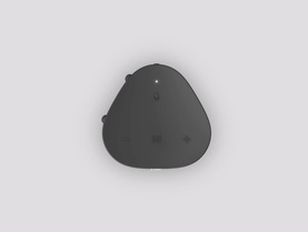 Roam Portable Waterproof Smart Speaker