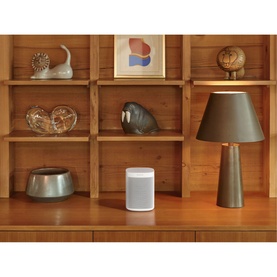 One SL Speaker