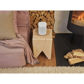 One SL Speaker