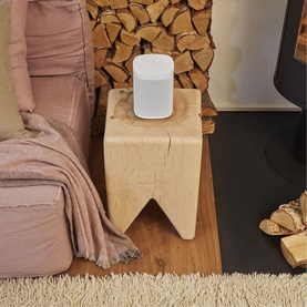 One SL Speaker
