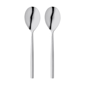 Rochester Two-Piece Serving Spoon Set
