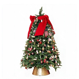 The Winter Sweet Tree