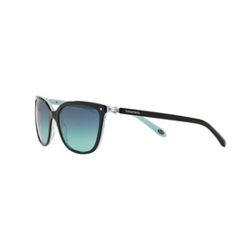 Square Sunglasses TF4105HB