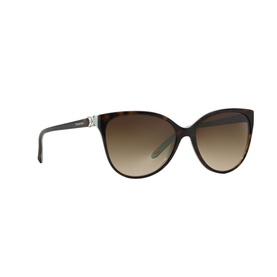 Cat Eye Sunglasses TF4089B