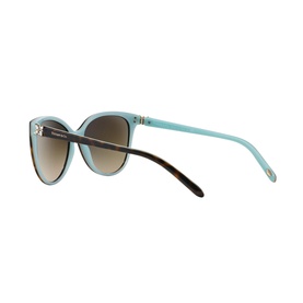 Cat Eye Sunglasses TF4089B