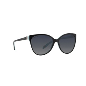 0TF4089B Cat Eye Sunglasses