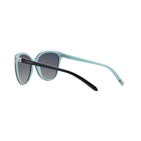 0TF4089B Cat Eye Sunglasses
