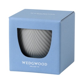 Jasper Conran Jasper Folia Terracotta Mini Pot in grey with embossed leaf detail, shown in Wedgwood blue gift box with window front
