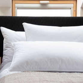 Goose Feather & Down Pillow