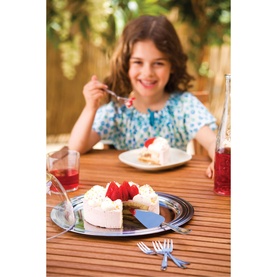 Cheese Cake Set 25cm