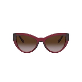 Cat Eye Sunglasses VE4381B 53