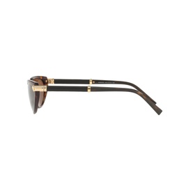 Cat Eye Sunglasses VE4365Q 54