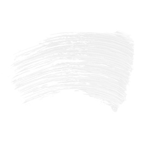 Subversion Lash Primer
