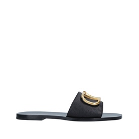 V Logo Slides