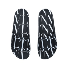 VLTN Slides