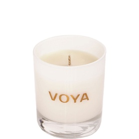 Coconut And Jasmine Scented Candle