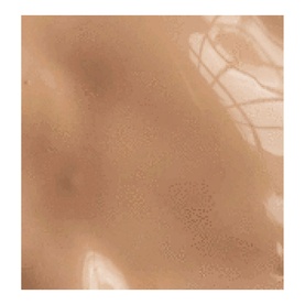 Foundation
