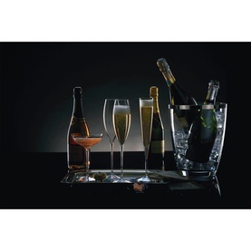 Elegance Champagne Belle Coupe Set of Two