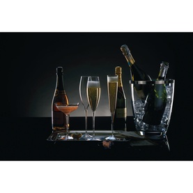 Two Elegance Classic Champagne Flutes