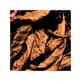 Le Vestiaire Des Parfums Tuxedo