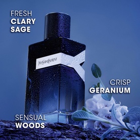 Y Man Eau de Parfum